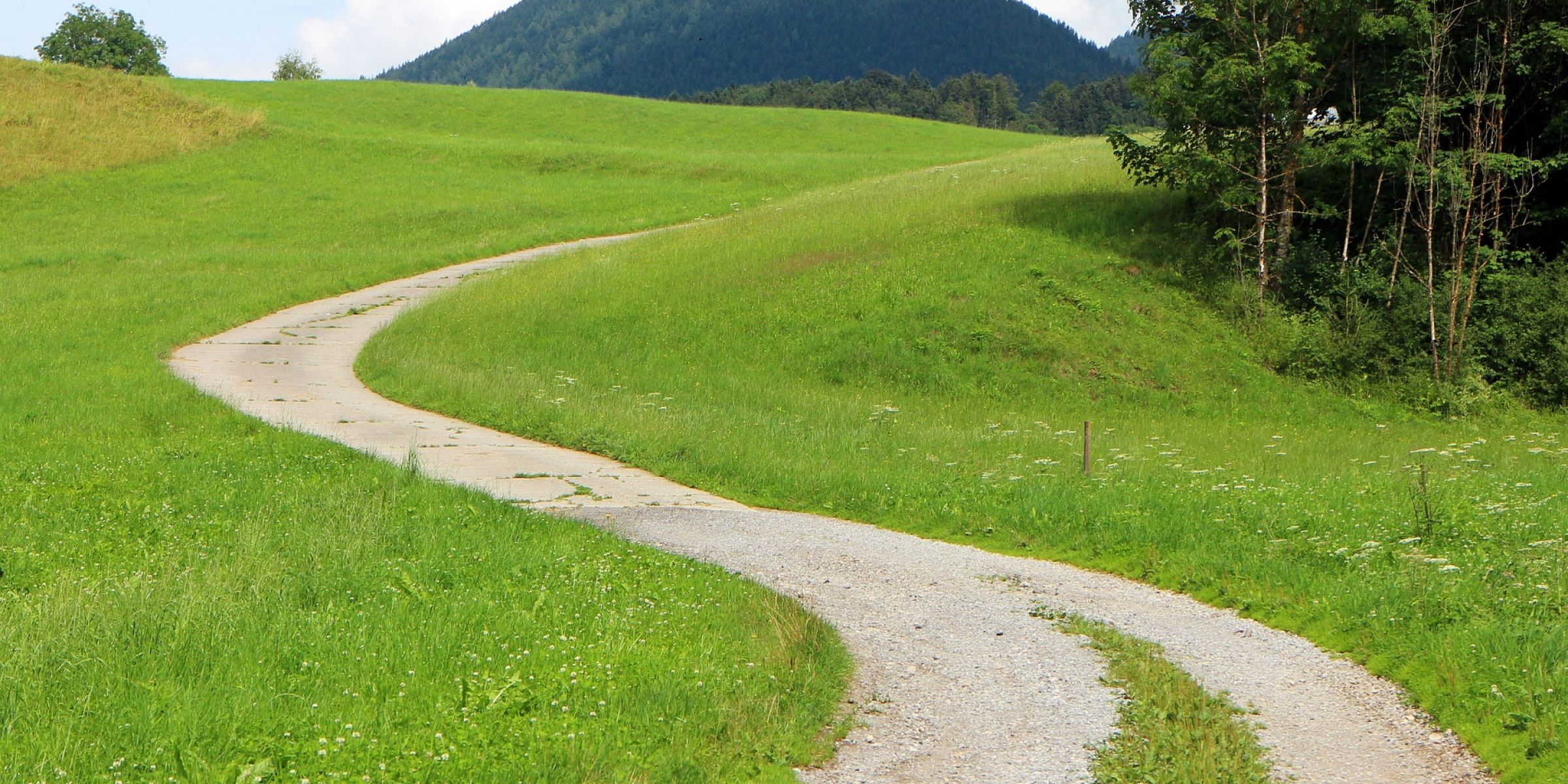 Ein Stein Weg durch eine grüne Landschaft