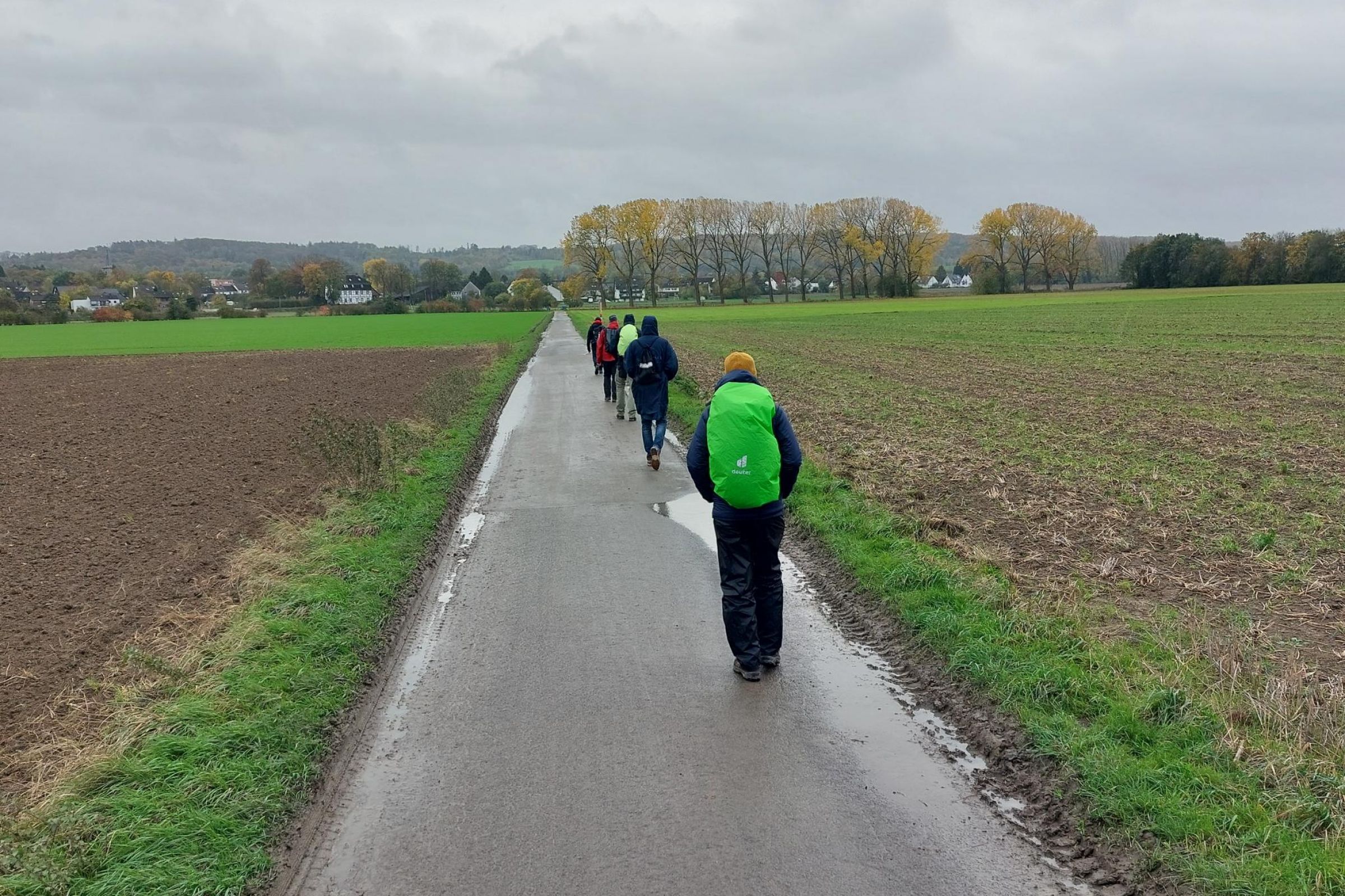Männer wandern einen Feldweg entlang