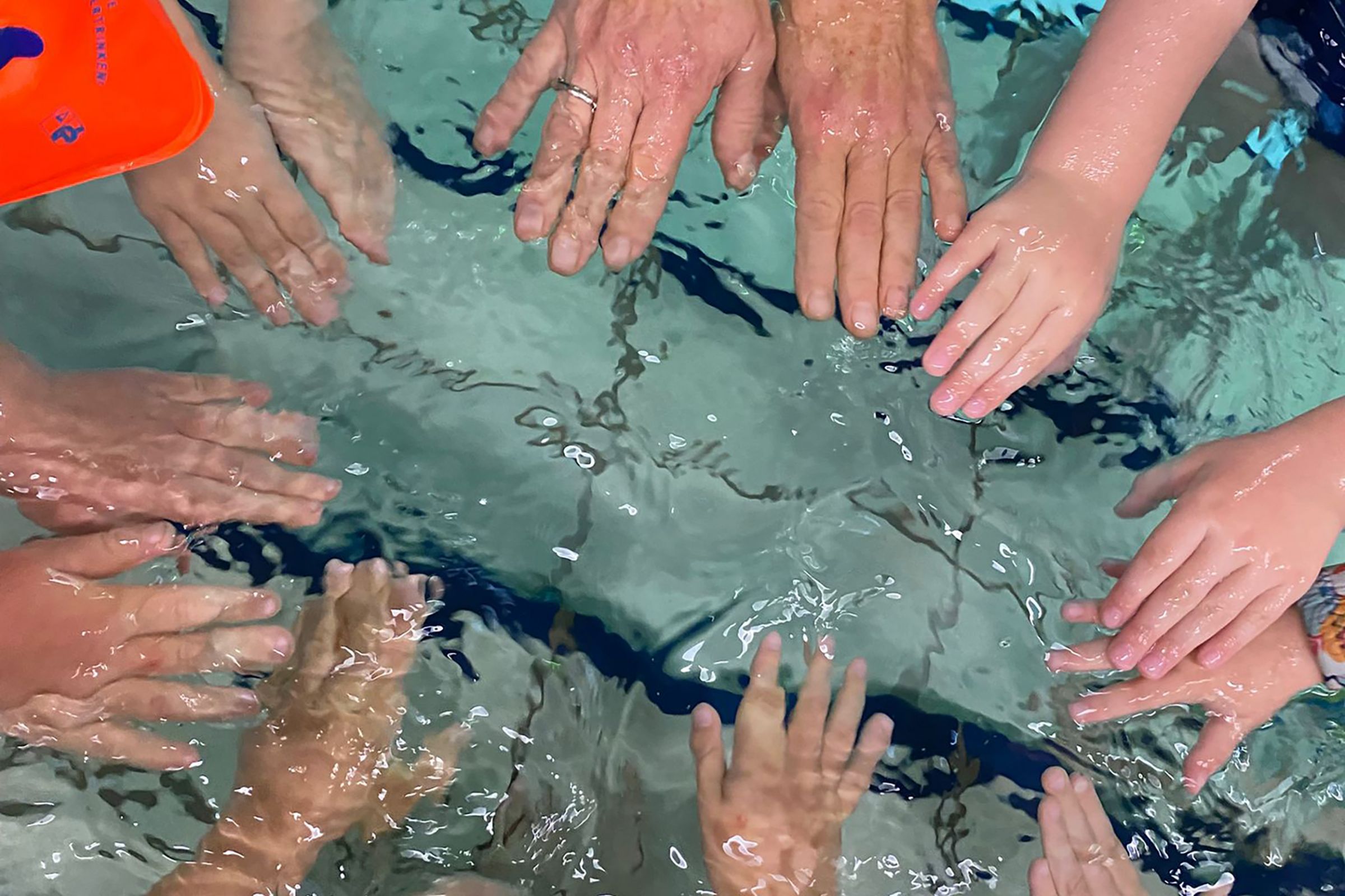 Kinder der Kita Scharrenberger Straße tauchen ihre Hände ins Wasser eines Schwimmbeckens.
